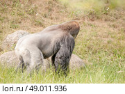 High resolution photo in best quality. Стоковое фото, агентство Ingram Publishing / Фотобанк Лори