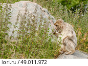 High resolution photo in best quality. Стоковое фото, агентство Ingram Publishing / Фотобанк Лори