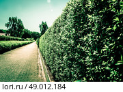 Village path with hedge on the right side. Стоковое фото, агентство Ingram Publishing / Фотобанк Лори