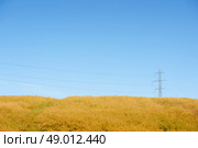 Pylons with wires on a yellow field. Стоковое фото, агентство Ingram Publishing / Фотобанк Лори
