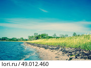 Beach in Scandinavia with green fields and blue sky. Стоковое фото, агентство Ingram Publishing / Фотобанк Лори