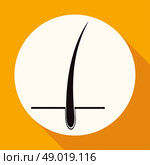 Icon on white circle with a long shadow. Стоковая иллюстрация, агентство Ingram Publishing / Фотобанк Лори
