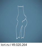 Human leg bones. Doodle style. Стоковая иллюстрация, агентство Ingram Publishing / Фотобанк Лори