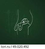 Male reproductive system sketch. Стоковая иллюстрация, агентство Ingram Publishing / Фотобанк Лори