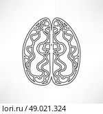 brain icon. Стоковая иллюстрация, агентство Ingram Publishing / Фотобанк Лори