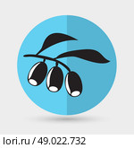 Olive branch. Стоковая иллюстрация, агентство Ingram Publishing / Фотобанк Лори