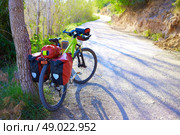 MTB Bicycle touring bike in a pine forest with pannier racks and saddlebag. Стоковое фото, агентство Ingram Publishing / Фотобанк Лори