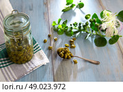 Capers pickled with plant and caper plant flower on vintage spoon. Стоковое фото, агентство Ingram Publishing / Фотобанк Лори