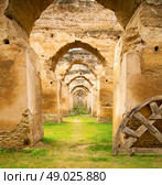 old moroccan granary in the green grass and archway  wall. Стоковое фото, агентство Ingram Publishing / Фотобанк Лори
