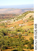 dades valley in atlas moroco africa ground tree  and nobody. Стоковое фото, агентство Ingram Publishing / Фотобанк Лори