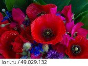 Poppy, sweet pea and corn flowers bouquet close up. Стоковое фото, агентство Ingram Publishing / Фотобанк Лори