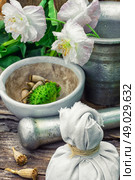 Stems of herbaceous medicinal plants genus Datura Nightshade family with poppy seeds. Стоковое фото, агентство Ingram Publishing / Фотобанк Лори