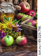Still life from the harvest of ripe apples and honey to the Church celebration of the apple feast day. Стоковое фото, агентство Ingram Publishing / Фотобанк Лори