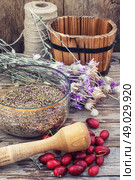 scattered medicinal Cornel berries. Стоковое фото, агентство Ingram Publishing / Фотобанк Лори