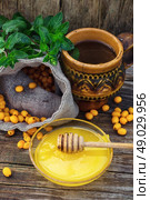 buckthorn. Clay mug with medicinal decoction of sea buckthorn and honey. Стоковое фото, агентство Ingram Publishing / Фотобанк Лори