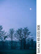 Magical morning mist foliage on a beautiful countryside scenery landscape. Стоковое фото, агентство Ingram Publishing / Фотобанк Лори