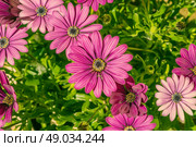 High resolution photo in best quality. Стоковое фото, агентство Ingram Publishing / Фотобанк Лори