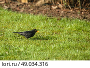 High resolution photo in best quality. Стоковое фото, агентство Ingram Publishing / Фотобанк Лори
