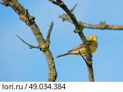 High resolution photo in best quality. Стоковое фото, агентство Ingram Publishing / Фотобанк Лори