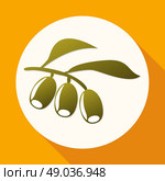 Olive branch. Стоковая иллюстрация, агентство Ingram Publishing / Фотобанк Лори