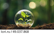 A glass sphere of pure dew drops in a forest on earth is a ball with an internal microclimate, a clean environment, protecting the ecology of the planet. AI generated. Стоковое AI-видео, аниматор Ольга Симонова / Фотобанк Лори