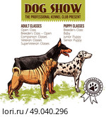 Dogs show with sketch doberman dalmatian and shar-pei profiles vector illustration. Dogs Show Illustration. Стоковая иллюстрация, агентство Ingram Publishing / Фотобанк Лори