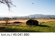 French farmland, Pyrenees Orientales . Стоковое фото, агентство Ingram Publishing / Фотобанк Лори