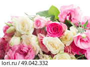bouquet of fresh roses. bouquet of pink and white fresh roses and eustoma flowers close up isolated on white background. Стоковое фото, агентство Ingram Publishing / Фотобанк Лори