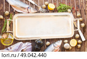 Empty silver tray with frame of seabass fish, shellfish and spices. Стоковое фото, агентство Ingram Publishing / Фотобанк Лори