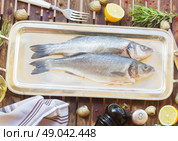 Seabass. Two fresh raw  seabass  fish on silver tray with frame of spices close up. Стоковое фото, агентство Ingram Publishing / Фотобанк Лори