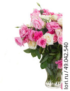 bouquet of fresh roses. bunch of pink and white fresh roses and eustoma flowers close up isolated on white background. Стоковое фото, агентство Ingram Publishing / Фотобанк Лори