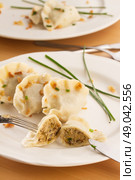 polish pierogi dish - dumplings with meat, one dumpling in sliced. Стоковое фото, агентство Ingram Publishing / Фотобанк Лори
