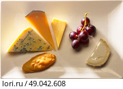 cheese plate with cheddar, oscypek, roquefort, old amsterdam and neufchatel cheese. Стоковое фото, агентство Ingram Publishing / Фотобанк Лори
