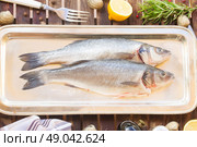 Seabass. Two fresh raw  seabass  fish on silver tray. Стоковое фото, агентство Ingram Publishing / Фотобанк Лори