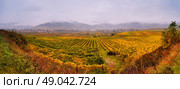 Cloudy autumn in Wachau valley. Стоковое фото, агентство Ingram Publishing / Фотобанк Лори