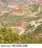 dades valley in atlas moroco   africa ground tree  and nobody. Стоковое фото, агентство Ingram Publishing / Фотобанк Лори
