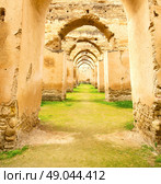 old moroccan granary in the green grass and archway  wall. Стоковое фото, агентство Ingram Publishing / Фотобанк Лори