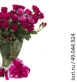 bunch  of fresh mauve roses in glass vase  with heart gift box isolated on white background. bunch of  fresh mauve roses. Стоковое фото, агентство Ingram Publishing / Фотобанк Лори