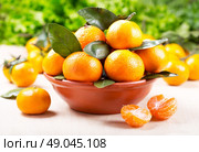fresh mandarin oranges fruit with leaves on wooden table. Стоковое фото, агентство Ingram Publishing / Фотобанк Лори
