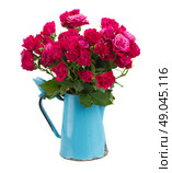 bunch  of mauve roses in blue pot  isolated on white background. Стоковое фото, агентство Ingram Publishing / Фотобанк Лори