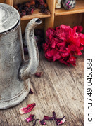 Sudanese rose. Стоковое фото, агентство Ingram Publishing / Фотобанк Лори