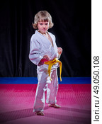 Little boy aikido fighter on black. Стоковое фото, агентство Ingram Publishing / Фотобанк Лори