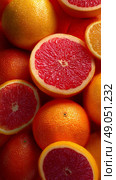 Fresh Citrus Fruits With Droplets Resting on Vibrant, Colorful Slices at Midday. Стоковое AI-изображение, AI-художник Юлия Гапеенко / Фотобанк Лори