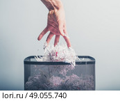A hand is putting a bunch of shredded paper in a waste paper basket. Стоковое фото, агентство Ingram Publishing / Фотобанк Лори