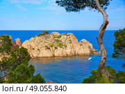 Aigua Xelida beach Cala in Tamariu Parafrugell of Girona at Catalonia Spain. Стоковое фото, агентство Ingram Publishing / Фотобанк Лори