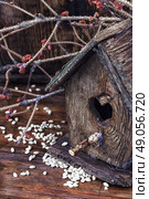 retro wooden birdhouse. Stylish wooden empty birdhouse out of old wood and spilled grain. Стоковое фото, агентство Ingram Publishing / Фотобанк Лори