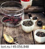 leaves of the tea bush,the stylish cups prepared for brewing. Стоковое фото, агентство Ingram Publishing / Фотобанк Лори