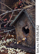 retro wooden birdhouse. Stylish wooden empty birdhouse out of old wood and spilled grain. Стоковое фото, агентство Ingram Publishing / Фотобанк Лори