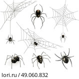 Spiders and spider web, vector set. Стоковая иллюстрация, агентство Ingram Publishing / Фотобанк Лори