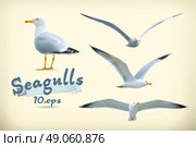Sea gulls vector icon set. Стоковая иллюстрация, агентство Ingram Publishing / Фотобанк Лори